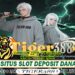 TigerWin388 Slot Online Gacor Deposit Cepat Aman